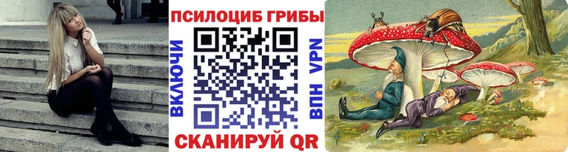 купить   Белинский  Галлюциногенные грибы мицелий 